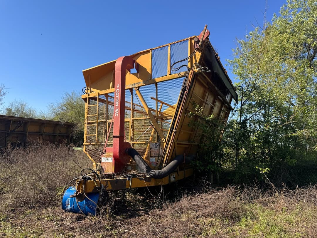 Image of KBH Mule Boy Image 1