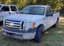 2010 Ford F-150 Image