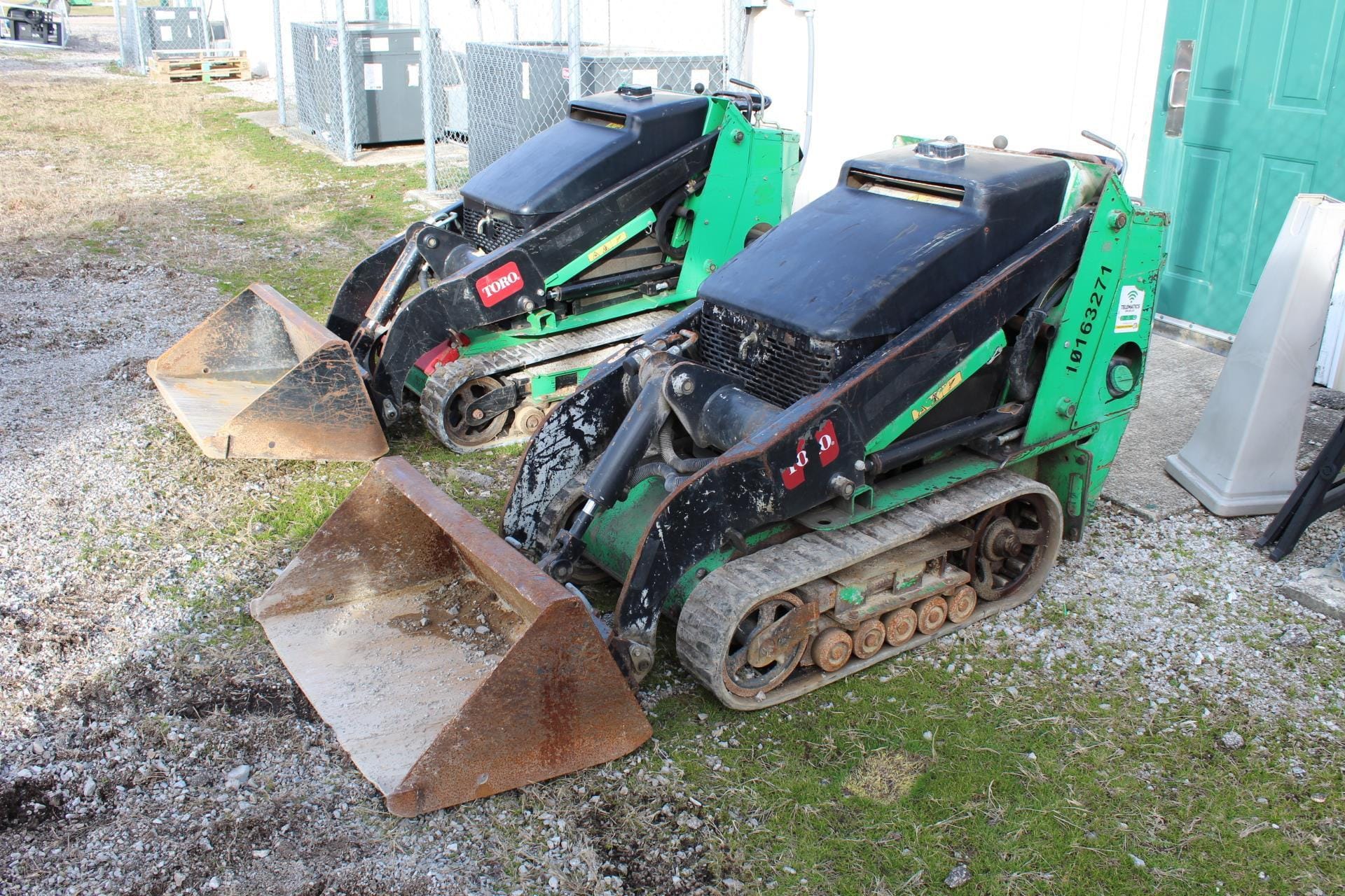 Main image Toro Dingo