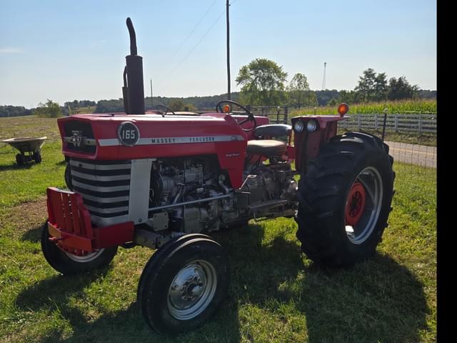 Image of Massey Ferguson 165 equipment image 1