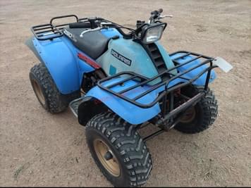 Main image Polaris Trail Boss 250