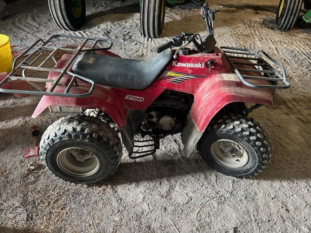 Main image Kawasaki Bayou 250