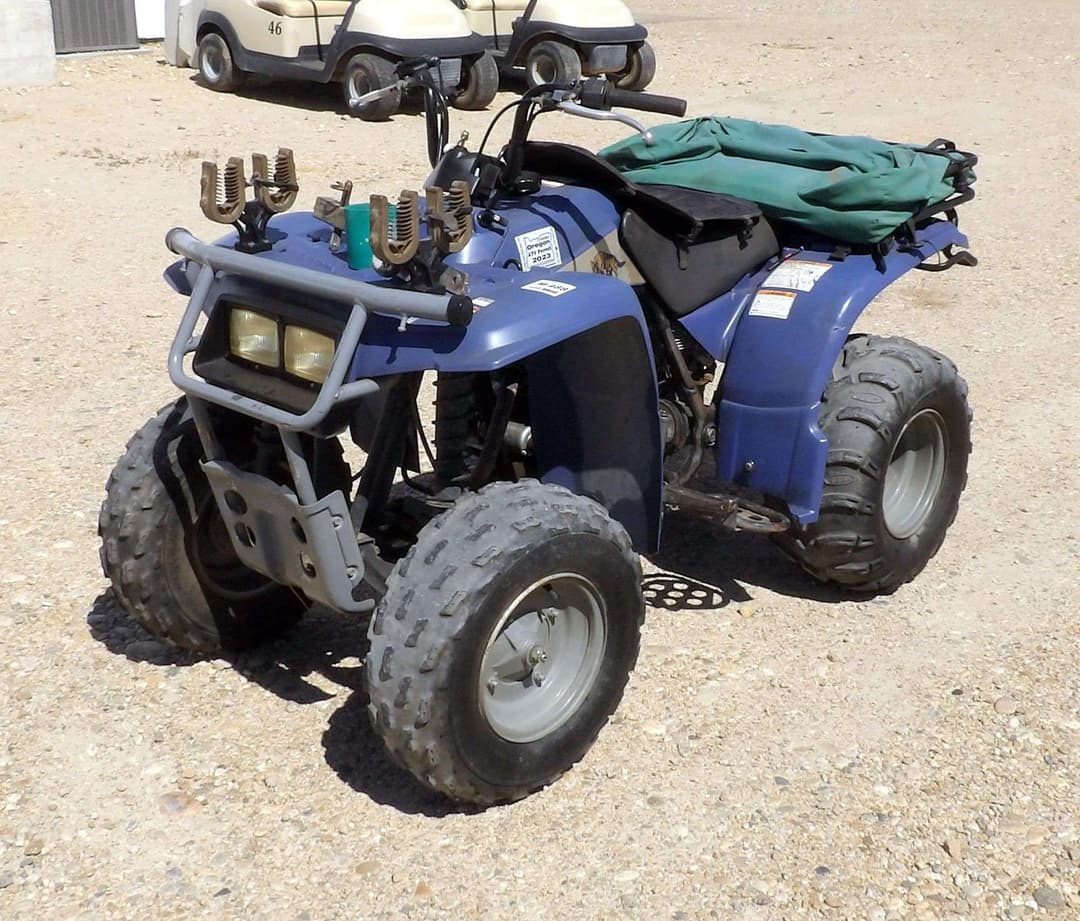 Image of Yamaha Timberwolf Primary image