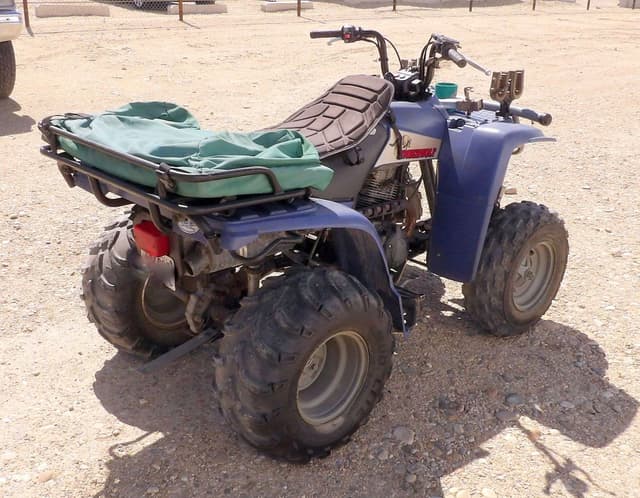 Image of Yamaha Timberwolf equipment image 3