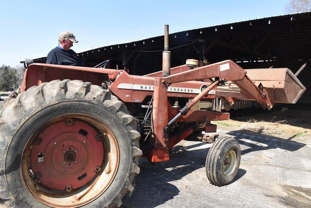 Image of Massey Ferguson 1100 equipment image 1