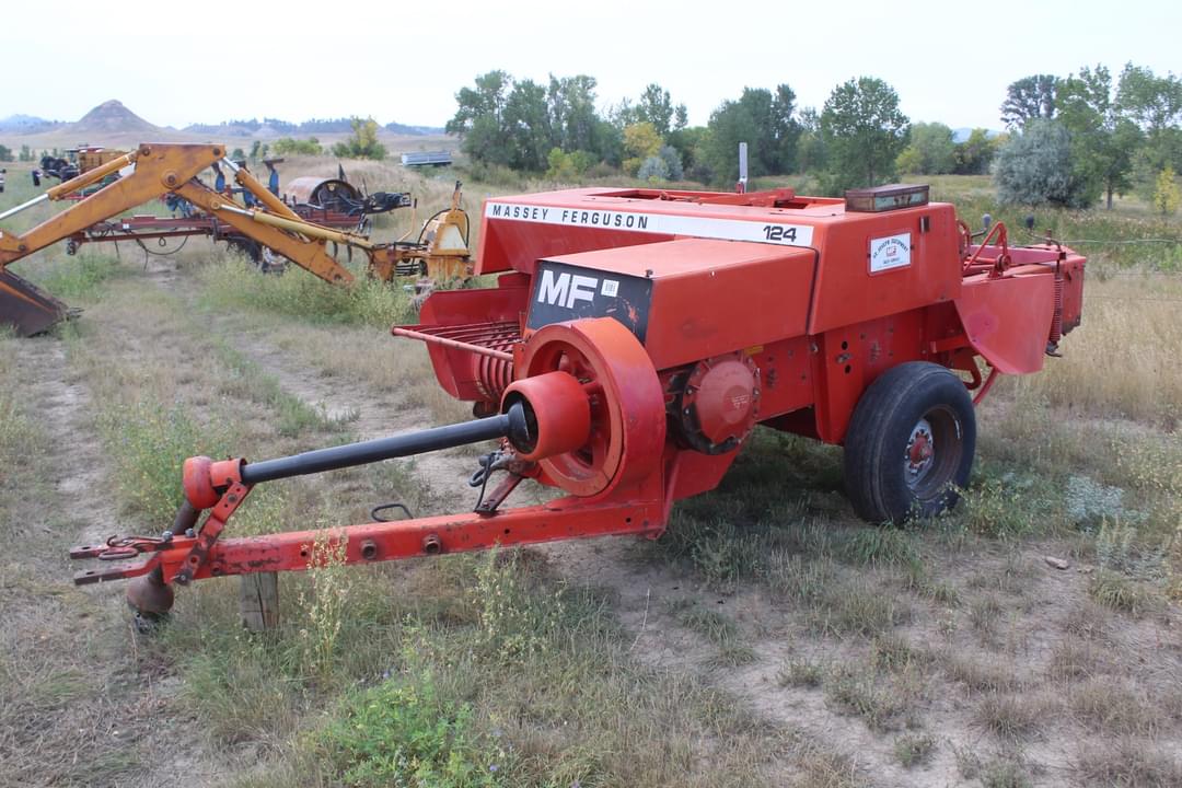 Image of Massey Ferguson 124 Primary image
