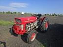 Massey Ferguson 135 Image