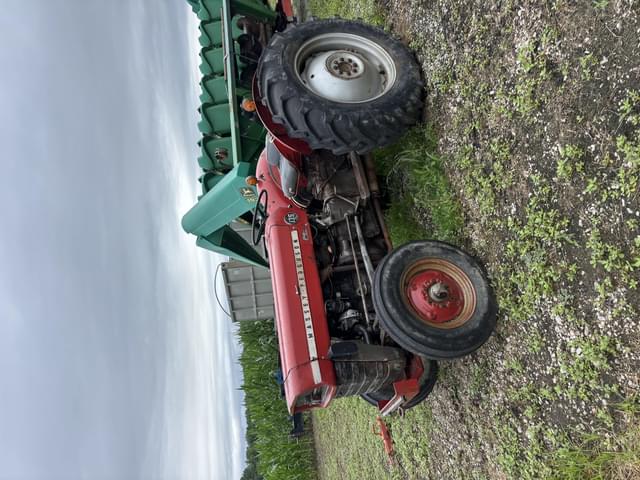 Image of Massey Ferguson 135 equipment image 1
