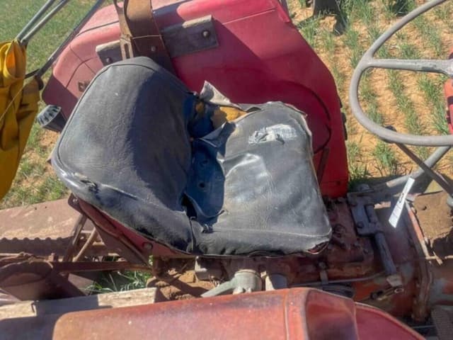 Image of Massey Ferguson 135 equipment image 4