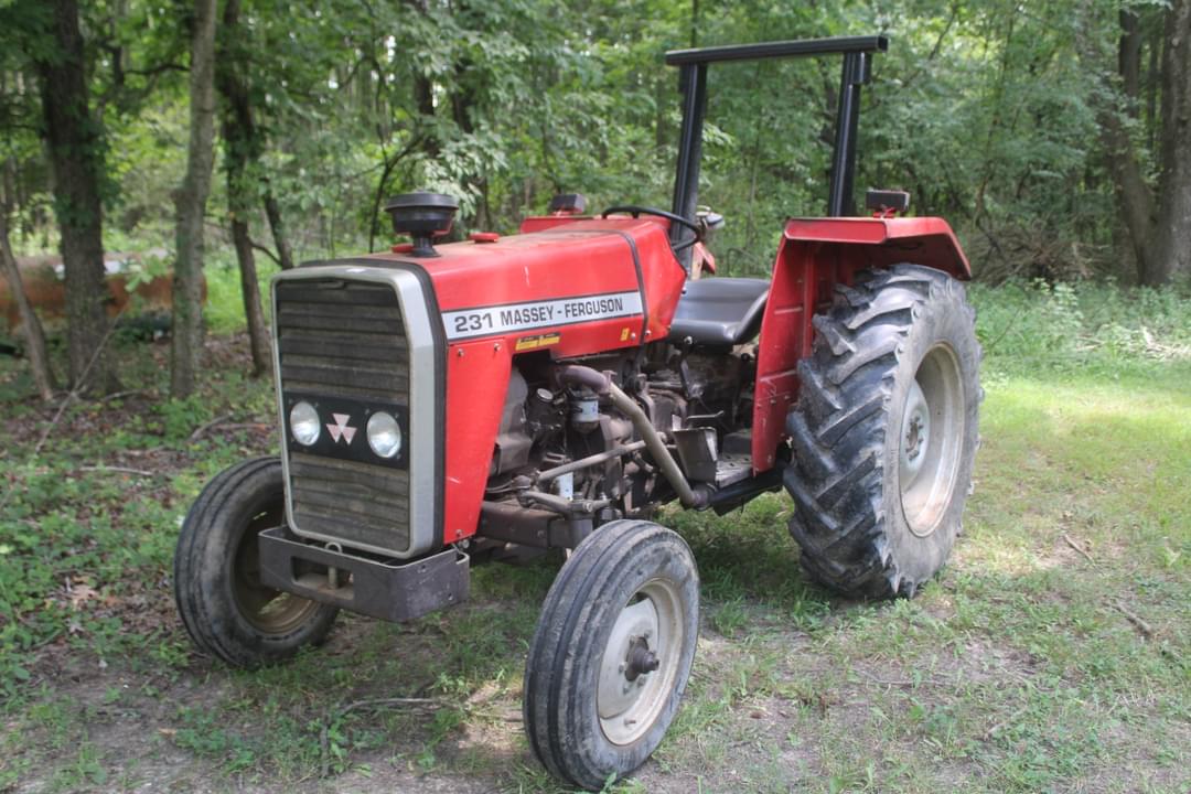 Image of Massey Ferguson 231 Primary image