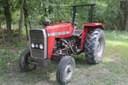 Massey Ferguson 231 Image