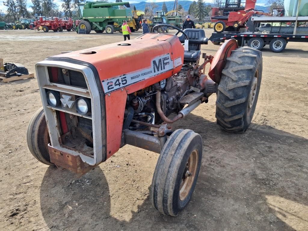 Image of Massey Ferguson 245 Primary image