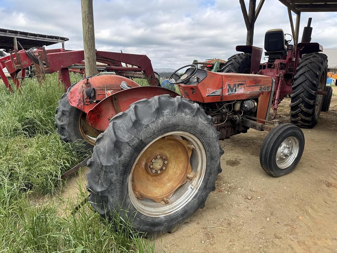 Image of Massey Ferguson 245 Image 1