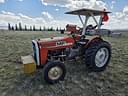 Massey Ferguson 245 Image