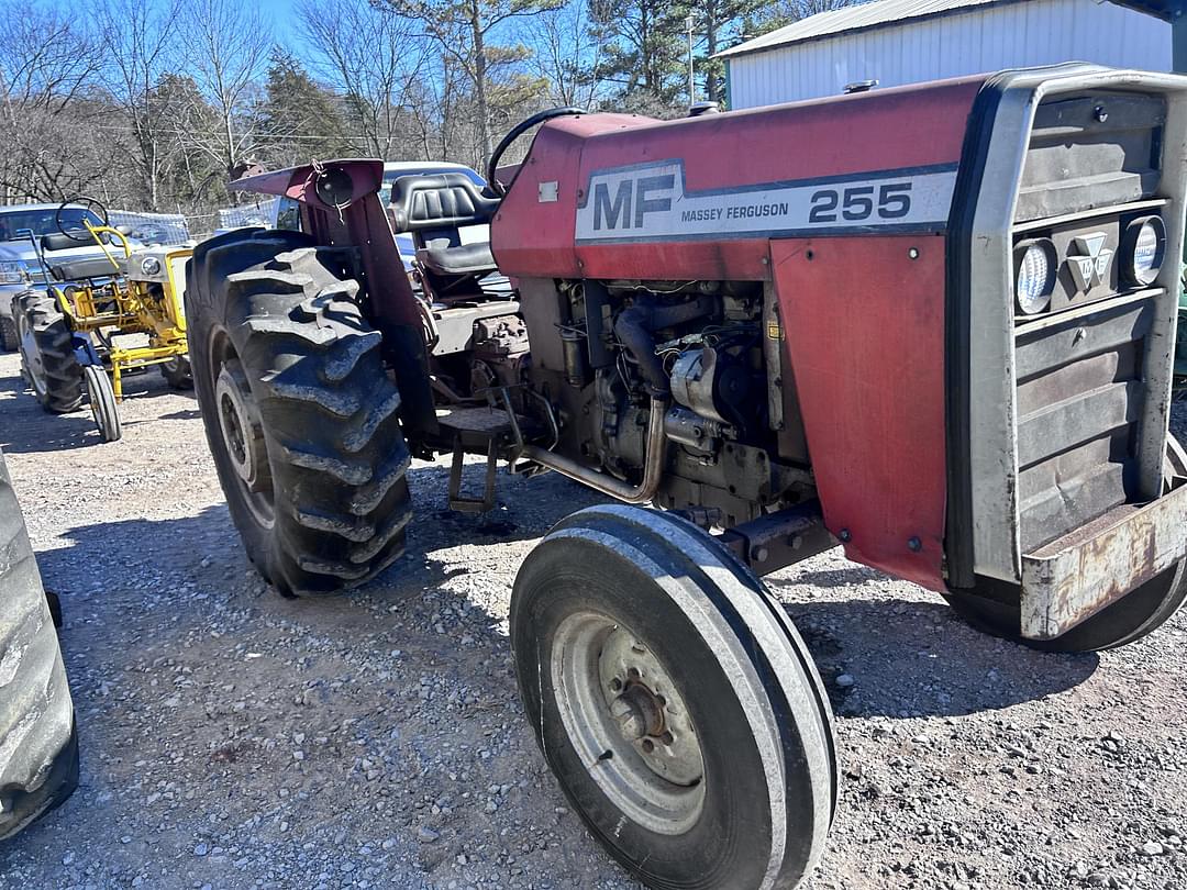 Image of Massey Ferguson 255 Primary Image