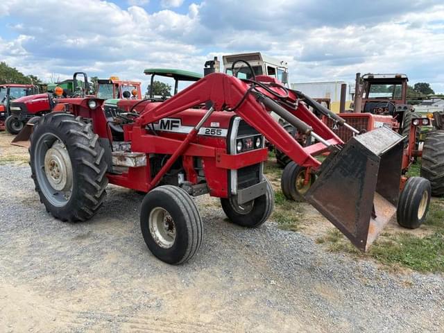 Image of Massey Ferguson 255 equipment image 1