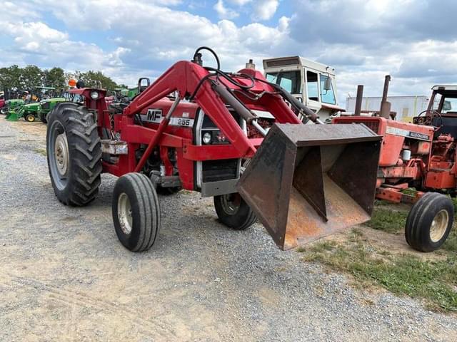 Image of Massey Ferguson 255 equipment image 2