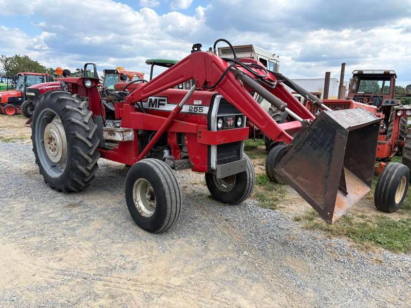 Image of Massey Ferguson 255 Primary image