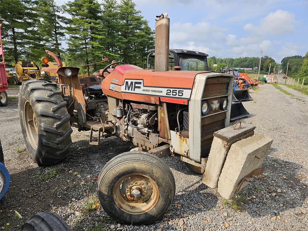 Image of Massey Ferguson 255 Primary image