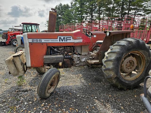 Image of Massey Ferguson 255 equipment image 1