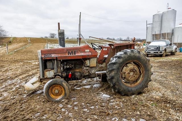 Image of Massey Ferguson 265 equipment image 4