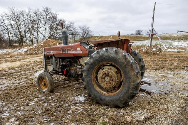 Image of Massey Ferguson 265 equipment image 3