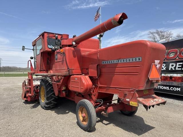 Image of Massey Ferguson 300 equipment image 1