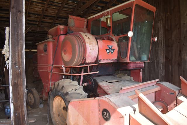 Image of Massey Ferguson 300 equipment image 2