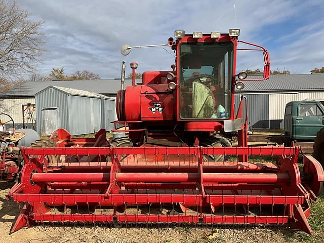 Image of Massey Ferguson 300 equipment image 2