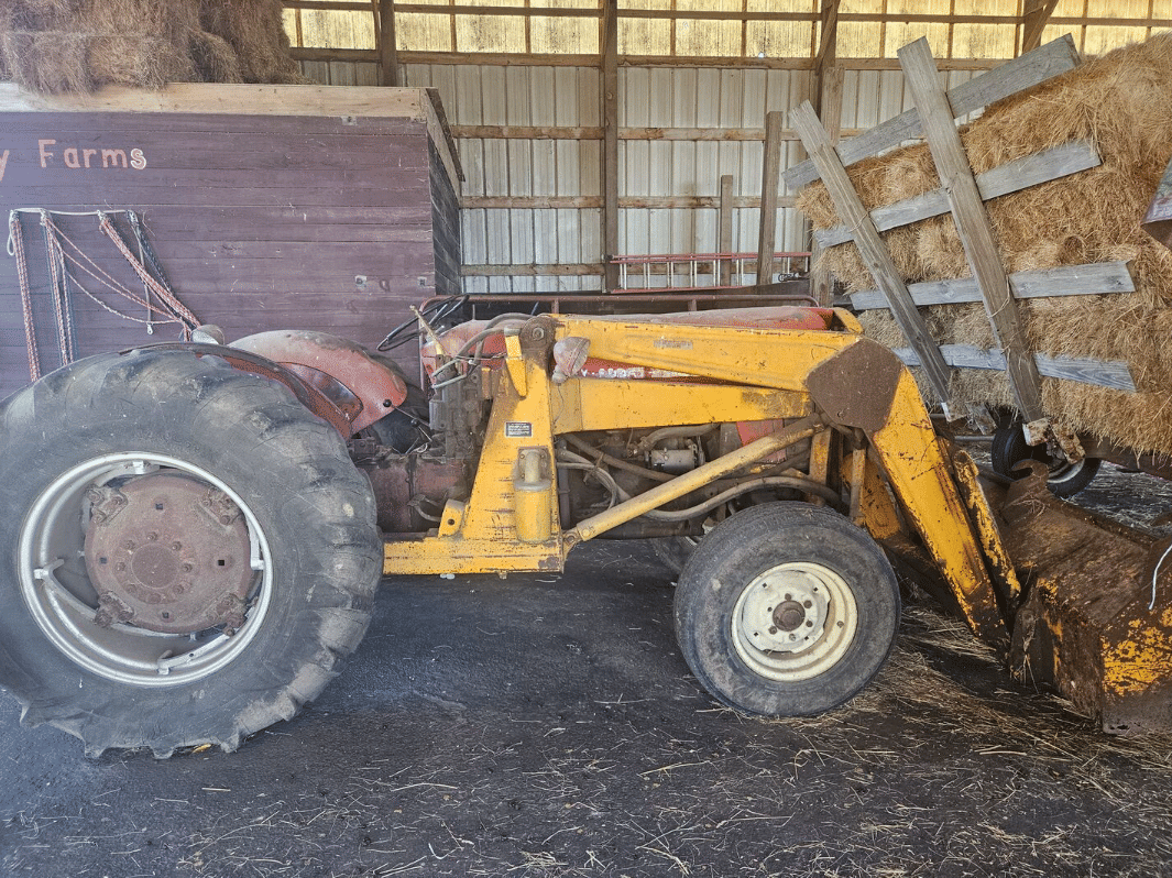 Image of Massey Ferguson 65 Primary Image