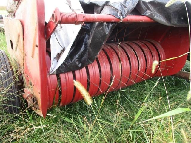 Image of Massey Ferguson 3 equipment image 4