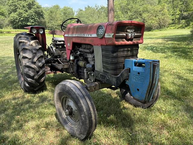 Image of Massey Ferguson 165 equipment image 1