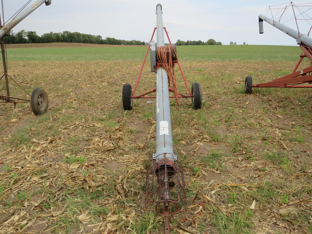 Image of Mayrath 8x31 Image 1