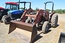 Massey Ferguson 231 Image