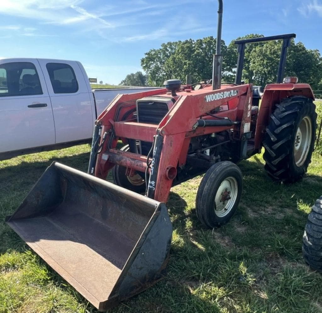 Image of Massey Ferguson 231 Primary image