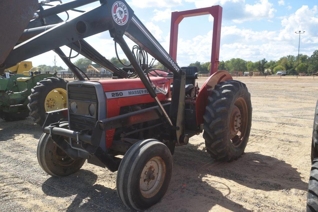 Image of Massey Ferguson 250 Primary image
