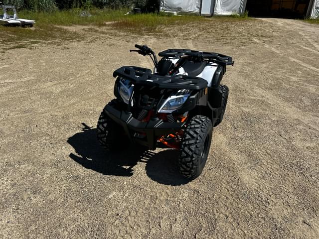 Image of Kayo Bull 180 equipment image 3