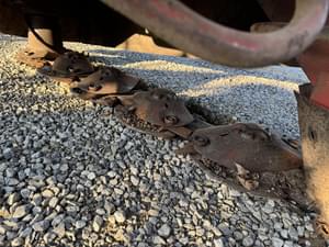 New Holland 615 Image