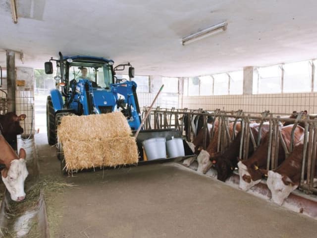 Image of New Holland PowerStar 100 equipment image 3