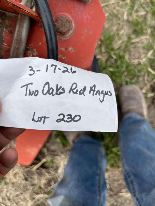 Image of New Idea 5410 equipment image 2