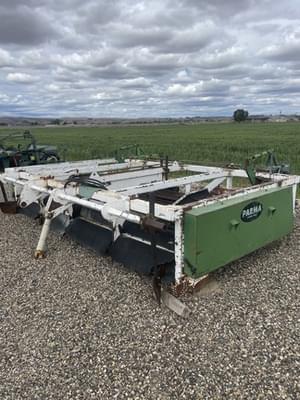 Parma Undetermined Image