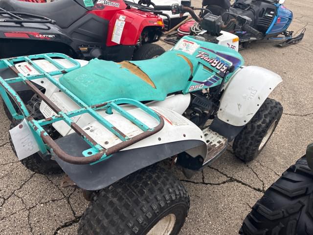 Image of Polaris Trail Boss  250 equipment image 3