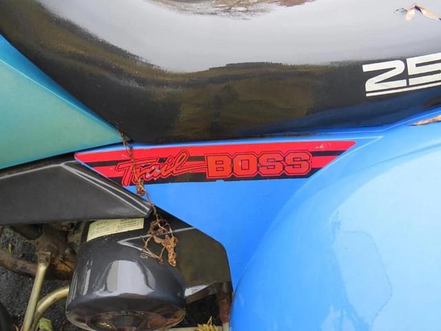 Image of Polaris Trail Boss  250 equipment image 3