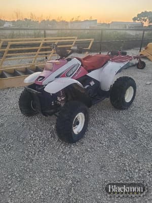Polaris Trail Boss Image