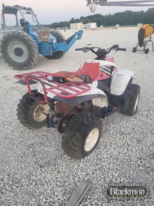 Image of Polaris Trail Boss equipment image 2
