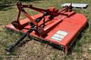 Rhino 172 Image