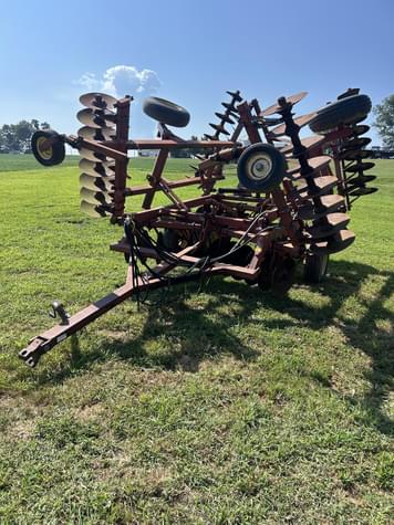 Main image Sunflower 1130