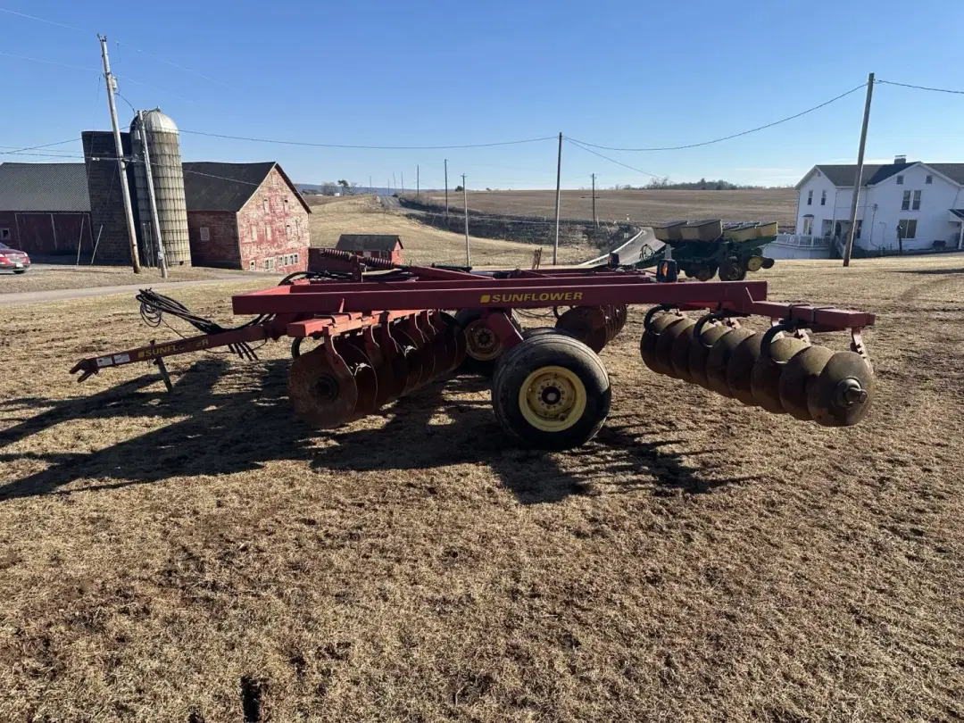 Image of Sunflower 1211 Image 1