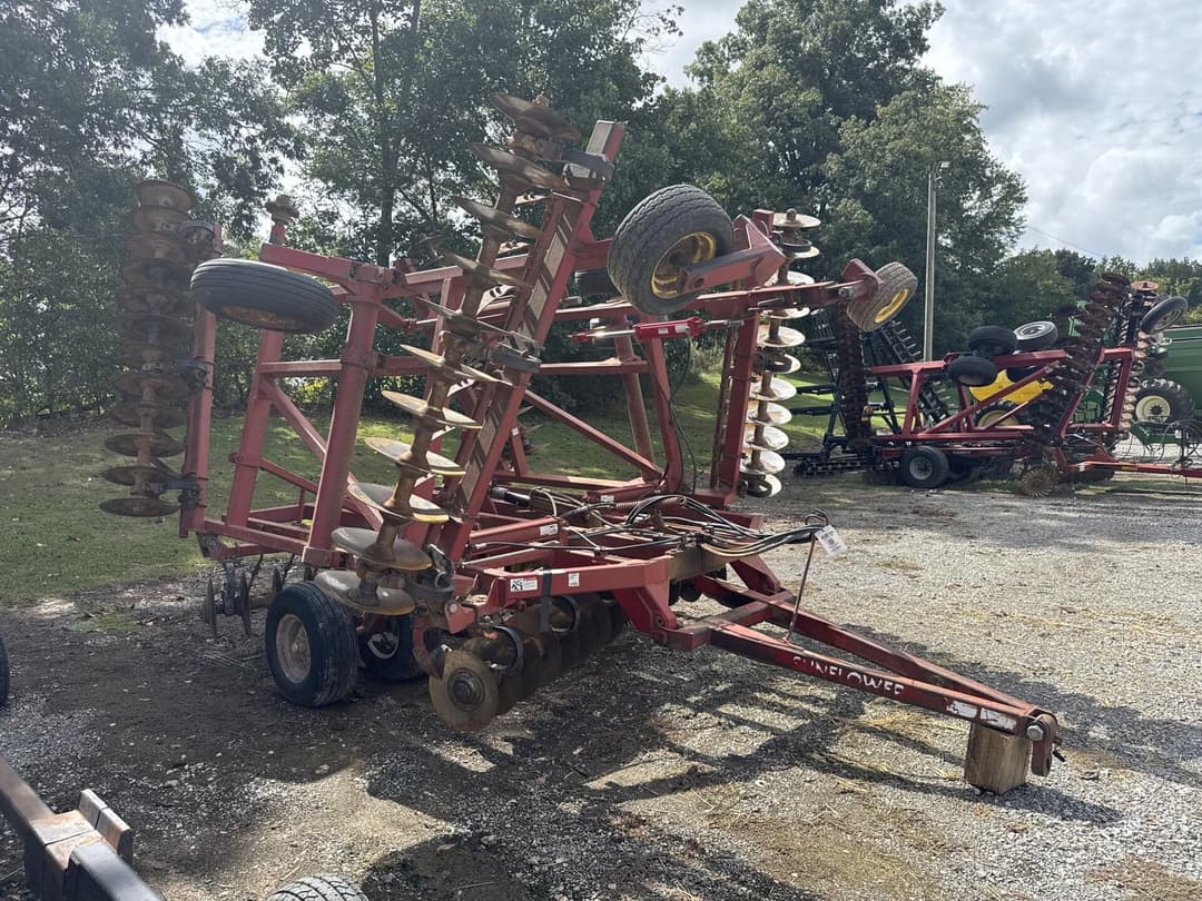 Image of Sunflower 1232 Primary image