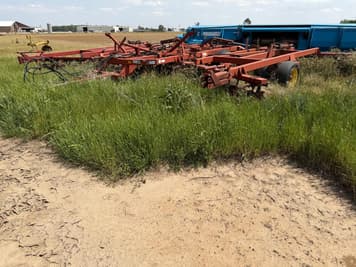 Main image Sunflower 1233-27